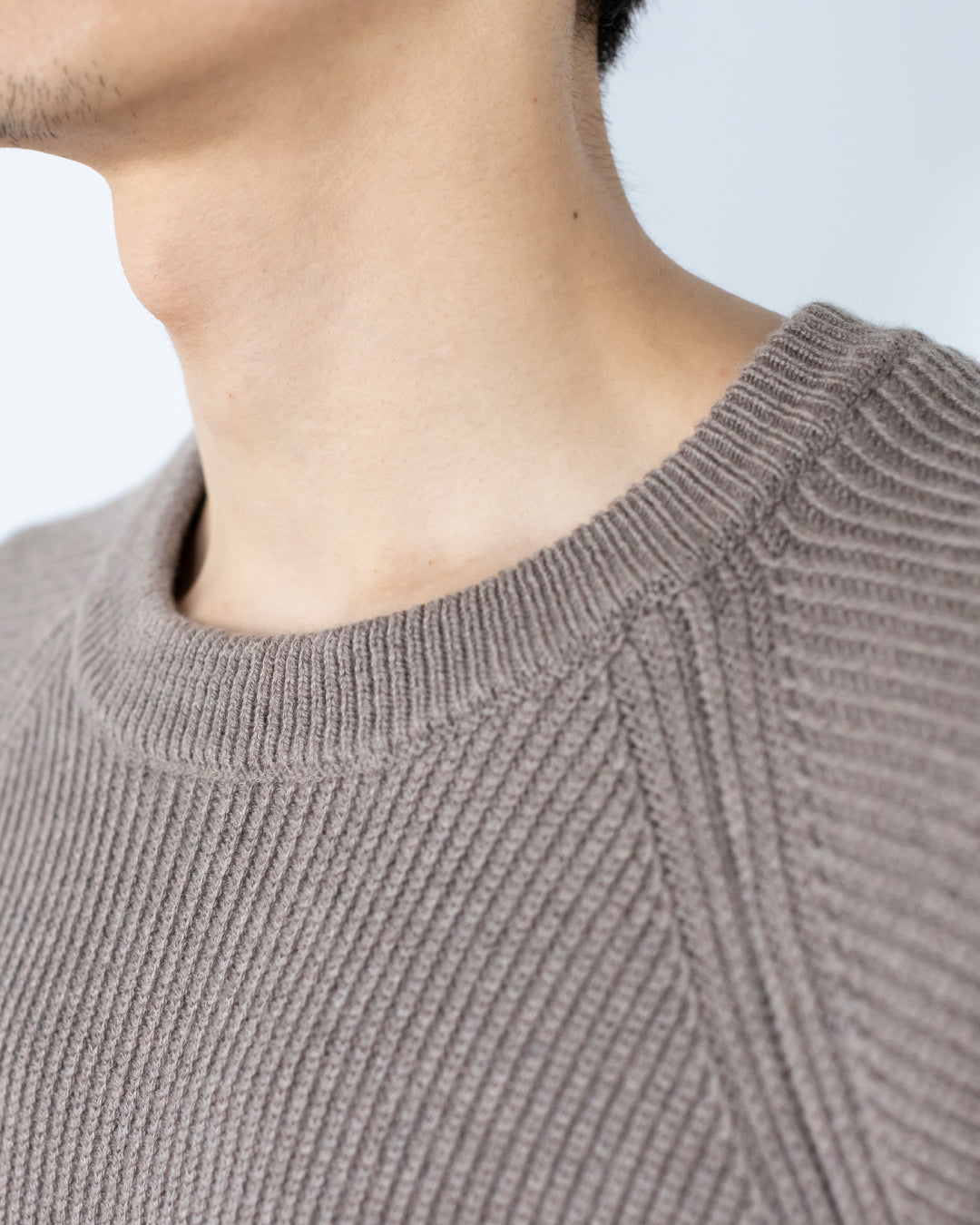 Wool Mixed Crewneck Knit -greige-